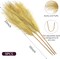 9 Stems Gold Pampas Grass – 38 Inch Tall Faux Pompous Grass for Wedding Arrangements, Great Gatsby Party & Home Décor